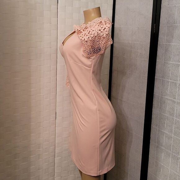 BRAND NEW SANDRA DARREN LACE CUT-OUT DESIGN SLEEVE V-NECK WOMEN'S DRESS - Picture 11 of 14